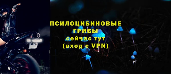 прущий лед Белокуриха